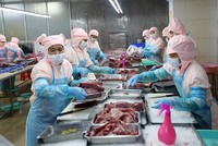 Lúc này, doanh nghiệp đang phục hồi, rất cần môi trường kinh doanh thuận lợi hơn, an toàn hơn, giảm thiểu mọi chi phí. Ảnh: Đức Thanh