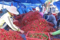 Xuất khẩu sang Trung Quốc phục hồi, doanh nghiệp phấn khởi