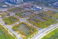 Thủ tướng yêu cầu ngăn chặn, xử lý nghiêm các hành vi lợi dụng, vi phạm quy định pháp luật trong việc đấu giá quyền sử dụng đất nhằm trục lợi, gây nhiễu loạn thị trường.