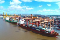 Đà phục hồi của Tổng công ty Hàng hải Việt Nam đang bị đe dọa