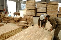 Mỹ gia hạn thời gian ban hành kết luận trong vụ việc điều tra phòng vệ thương mại với gỗ dán cứng từ Việt Nam.