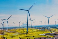 Điện gió có lúc chỉ phát được 15 MW trên tổng công suất đặt 4.000 MW