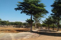 Dự án Ruby City, phường Lộc Sơn, TP. Bảo Lộc, tỉnh Lâm Đồng do Công ty cổ phần bất động sản Mãi Thành làm chủ đầu tư. Ảnh: B.L