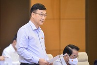 Chủ nhiệm Uỷ ban Kinh tế Vũ Hồng Thanh.