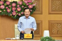 Phó Thủ tướng Lê Minh Khái : Nếu còn dư địa, có thể đề xuất giảm thuế VAT, thuế tiêu thụ đặc biệt với xăng dầu.