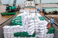 Quảng Ngãi hỗ trợ 1.201.335 kg gạo cho nhân dân đón Tết Nguyên đán Quý Mão 2023