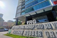 Tập đoàn Cao su Việt Nam (GVR) báo lãi ròng tăng 26%, tiền gửi ngân hàng 12.365 tỷ đồng