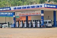 Công ty CP Nhiên liệu Phúc Lâm bị tước quyền sử dụng Giấy phép kinh doanh xuất khẩu, nhập khẩu xăng dầu 1 tháng kể từ 19/7/2022.
