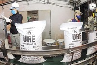 Diễn biến thị trường thuận lợi, giá urea tăng là cơ sở để các nhà máy đạm có thể cải thiện kết quả hoạt động.