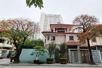 Hình minh họa. (Ảnh: Hồ Hạ)
