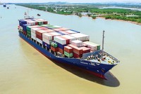 Cước vận tải biển đang giảm rất nhanh