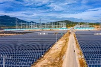 Chính phủ chỉ đạo xử lý dứt điểm các vướng mắc tại Nhà máy điện mặt trời Trung Nam Thuận Nam