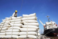 Gạo là 1 trong 8 mặt hàng đạt kim ngạch xuất khẩu trên 2 tỷ USD.