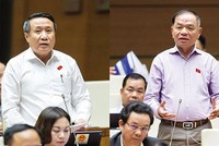 Đại biểu Lê Thanh Vân (bên phải) và đại biểu Hà Sỹ Đồng góp ý sửa đổi Nội quy kỳ họp Quốc hội