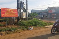 Luật Đất đai hiện hành có nhiều bất cập và vi phạm pháp luật về đất đai diễn biến phức tạp...