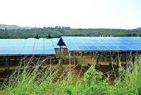 Sai phạm điện mặt trời ở Đắk Lắk có trách nhiệm của Tổng công ty Điện lực miền Trung
