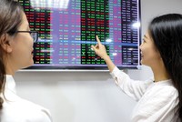 Công ty bảo hiểm không được kinh doanh bất động sản, nhưng được phép mua cổ phiếu bất động sản trên sàn chứng khoán. Ảnh: Dũng Minh