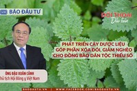 Phát triển cây dược liệu góp phần xóa đói, giảm nghèo cho đồng bào dân tộc thiểu số