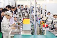 Với lợi thế về độ mở lớn của nền kinh tế, Việt Nam là một trong 30 nước xuất nhập khẩu hàng đầu thế giới. Ảnh: Đ.T