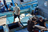 Quỹ hỗ trợ phát triển nghề cá Khánh Hòa hoạt động theo mô hình đơn vị sự nghiệp công lập trực thuộc Ủy ban nhân dân tỉnh Khánh Hòa