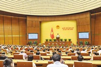 Các đại biểu Quốc hội khóa XV biểu quyết thông qua điều chỉnh chương trình Kỳ họp thứ nhất, bổ sung nội dung trao quyền đặc biệt cho Chính phủ để tăng cường công tác phòng, chống Covid-19