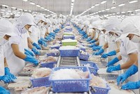 Tiếng nói trọng lượng của người đại diện cho nhân dân