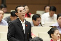 ĐBQH Trần Hoàng Ngân, Đoàn ĐBQH TP.HCM