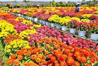 Đồng bằng sông Cửu Long vào mùa cao điểm du lịch hè