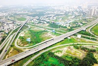 Ảnh minh họa.