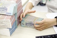 Hoạt động xử lý nợ xấu của ngành ngân hàng gặp khó khăn do thị trường bất động sản đóng băng, trong khi đây là tài sản bảo đảm chính cho phần lớn các khoản vay.