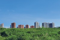 Nhiều khoản nợ xấu được bảo đảm bằng bất động sản giá trị lớn đang được rao bán với giá giảm sâu