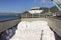 Tinh bột sắn xuất khẩu của Công ty An Phát