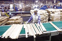 Trong tháng 7/2023, các doanh nghiệp ngành chế biến gỗ và nội thất bắt đầu đón đơn hàng xuất khẩu trở lại. Ảnh: Đ.T