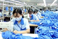 Xuất khẩu hàng dệt may đã giảm mạnh so với cùng kỳ, ảnh hưởng tới tăng trưởng xuất khẩu của Việt Nam