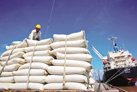 Đại học Kinh tế quốc dân: Đẩy mạnh chính sách tài khóa nghịch chu kỳ để cứu tổng cầu