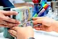 Huy động vốn ngoại tệ giảm mạnh, tín dụng ngoại tệ tăng 14,24%