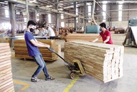 Sản lượng, số lượng đơn đặt hàng mới, hoạt động xuất khẩu và mua hàng đều đã tăng trở lại. Ảnh: Đức Thanh