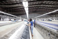 Theo TNG, Công ty đã nhận được đơn hàng quý II/2024. Ảnh: Dũng Minh