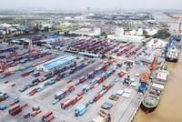 Nhiều doanh nghiệp đang đẩy mạnh đầu tư hậu cần, kho bãi để đáp ứng nhu cầu phát triển.