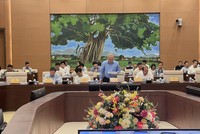 Thứ trưởng Bộ Kế hoạch và Đầu tư Đỗ Thành Trung báo cáo tại phiên họp.