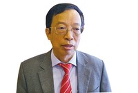 Ông Phạm Xuân Hòe, nguyên Phó viện trưởng Viện Chiến lược ngân hàng (Ngân hàng Nhà nước)