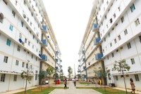 Từ chủ đầu tư dự án tới người dân thuê mua nhà ở xã hội TP.HCM đang gặp khó khăn trong xác nhận nhà ở để được hưởng chính sách.