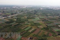 (Ảnh minh họa: Huy Hùng/TTXVN)