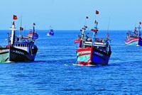 Thực hiện quyết tâm gỡ cảnh báo "Thẻ vàng" là vì lợi ích của quốc gia, của dân tộc, đảm bảo lợi ích của người dân; phát triển ngành thủy sản bền vững, có trách nhiệm và hội nhập quốc tế