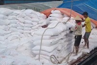 Nhiều doanh nghiệp xuất khẩu tinh bột sắn đang bị chậm hoàn thuế giá trị gia tăng.