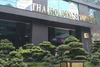 Thaiholdings (THD) tiếp tục tăng trần phiên thứ 12 kể từ khi chào sàn