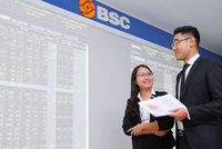 Chứng khoán BSC (BSI) hoãn phát hành riêng lẻ cho đối tác chiến lược HFI