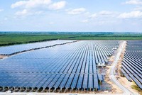 Triển vọng sáng hơn với cổ phiếu năng lượng tái tạo sau xung đột Nga - Ukraine
