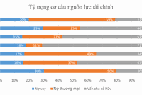 Nguồn: Báo cáo tài chính hợp nhất 2021, tổng hợp