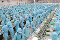 Quý I/2022, IDI báo lãi gấp 10 lần cùng kỳ